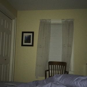 Meet your Posher, Molly